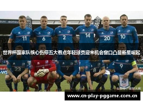 世界杯国家队核心伤停五大看点年轻球员迎来机会窗口凸显新星崛起