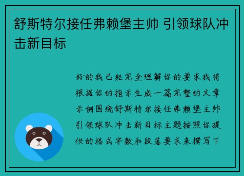 舒斯特尔接任弗赖堡主帅 引领球队冲击新目标