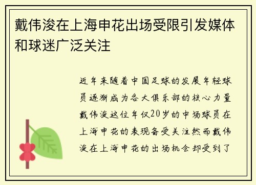 戴伟浚在上海申花出场受限引发媒体和球迷广泛关注